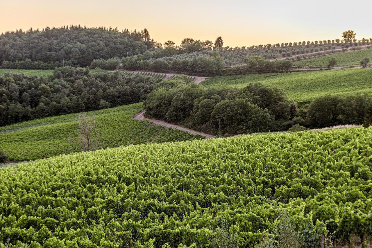 Agriturismo Casa Al Bosco Villa Castellina in Chianti Bagian luar foto