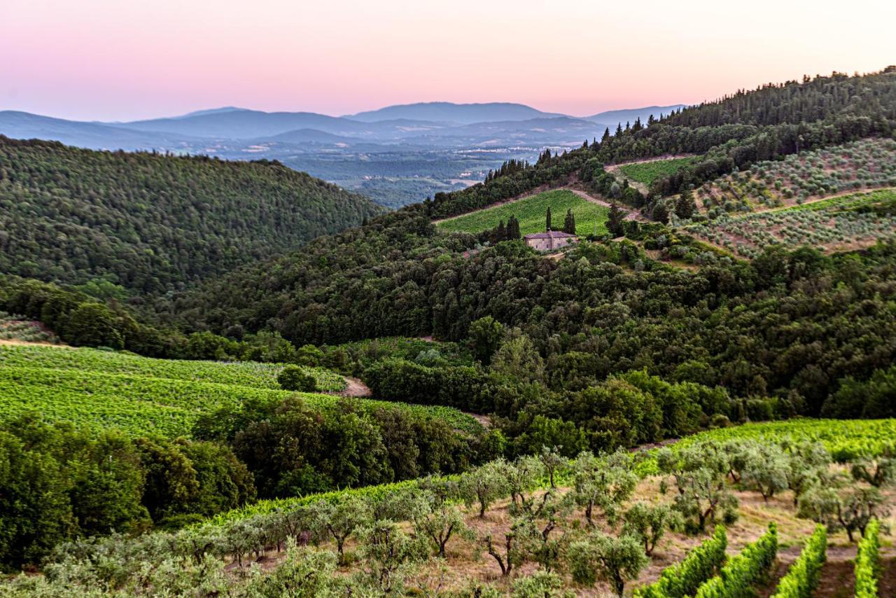 Agriturismo Casa Al Bosco Villa Castellina in Chianti Bagian luar foto