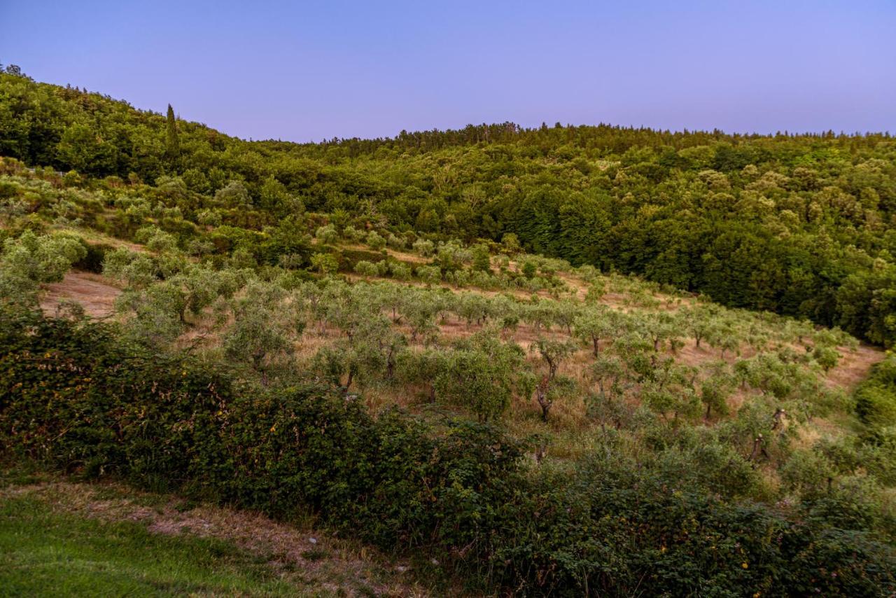 Agriturismo Casa Al Bosco Villa Castellina in Chianti Bagian luar foto